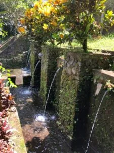 Nature